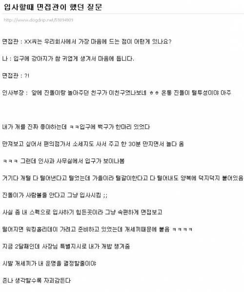 흔한 취업 성공.jpg