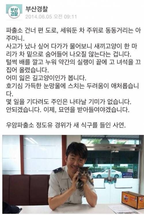 부산경찰 집사간택 후기.jpg