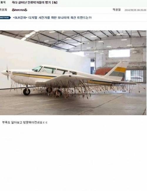 죽다 살아난 인류학자들의 비행기 .jpg