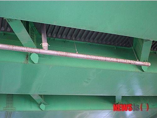 고가다리 밑 비둘기 방지 대책.jpg