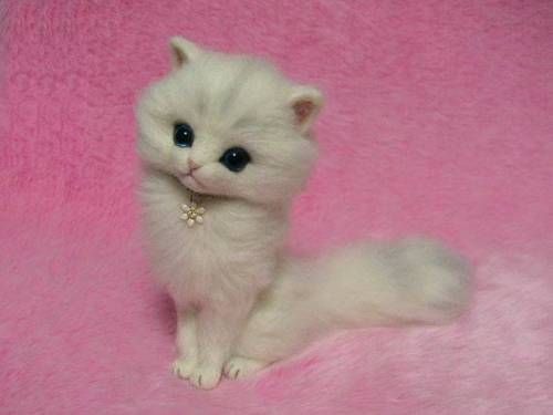 털실로 만든 고양이.jpg