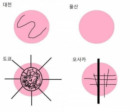 도시별 지하철 노선 느낌.jpg