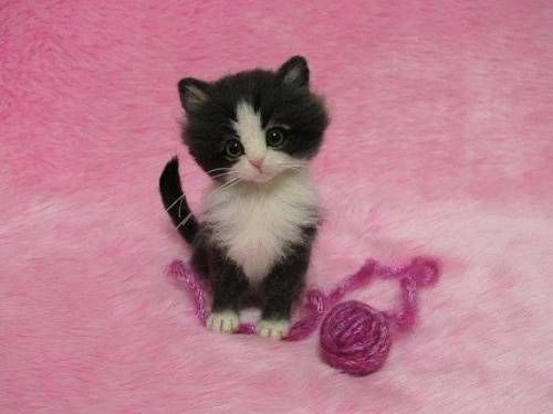 털실로 만든 고양이.jpg