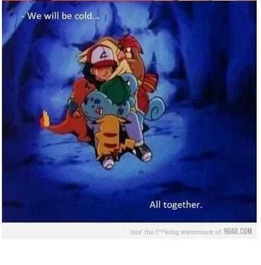 주인도 멍청하고 포켓몬도 멍청함