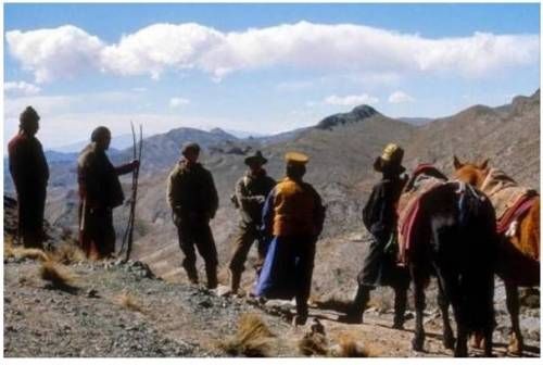 베스트베스트베스트