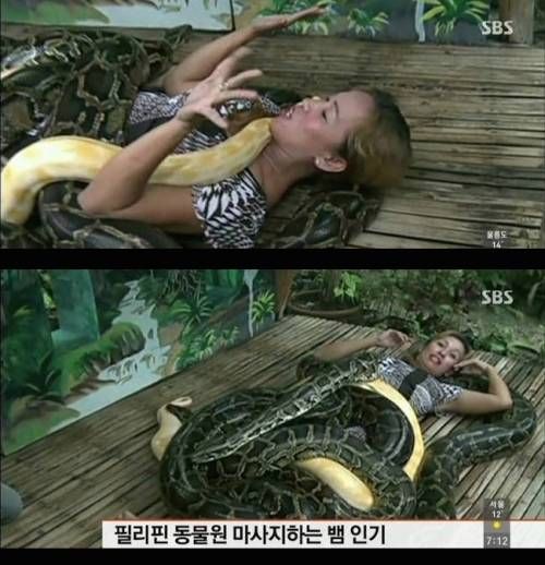 필리핀 동물원의 흔한 서비스