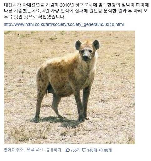 뜻밖의 ANG