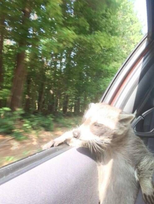 어디론가 떠나고 싶어.jpg