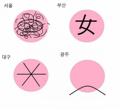 도시별 지하철 노선 느낌.jpg