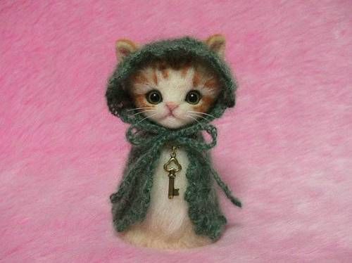 털실로 만든 고양이.jpg