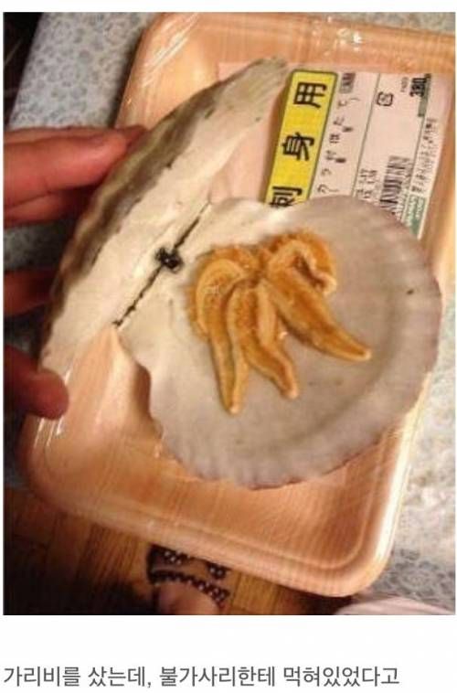 멘붕한 일본인.jpg