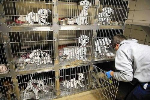 디즈니 캐릭터들이 현실로 온다면?