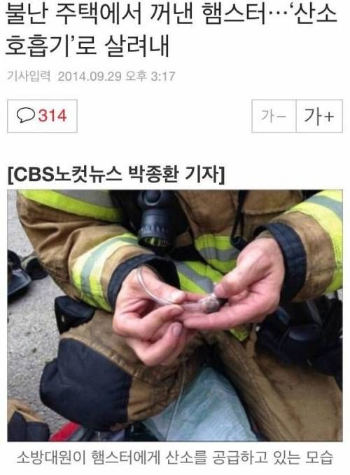 소방관의 위엄.jpg