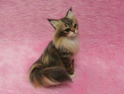 털실로 만든 고양이.jpg