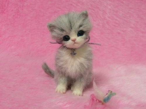 털실로 만든 고양이.jpg