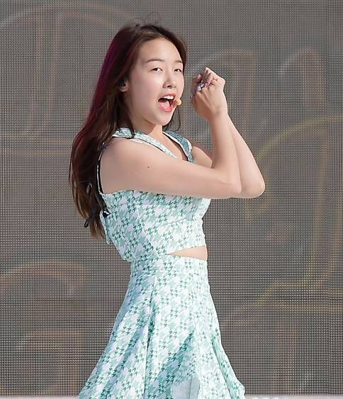 걸그룹 사진의 흔한 댓글