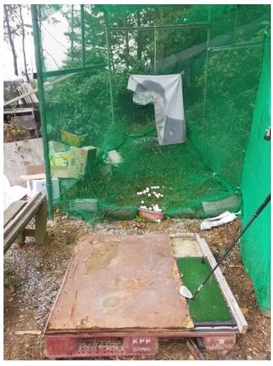 애국자 사장님.jpg