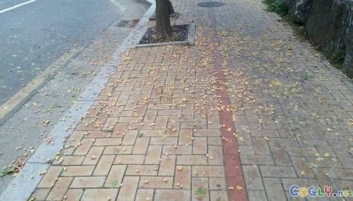 요즘 길거리 민폐 공감.jpg