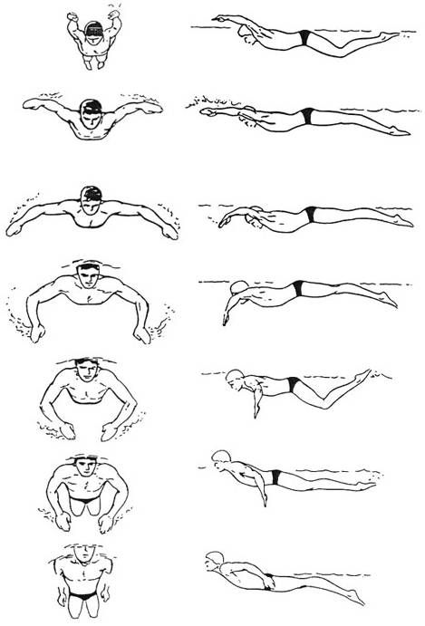 스크롤을 위로아래로 움직여보세요