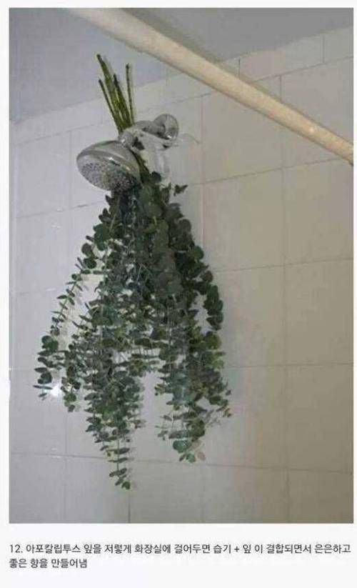 팁과 노하우.jpg