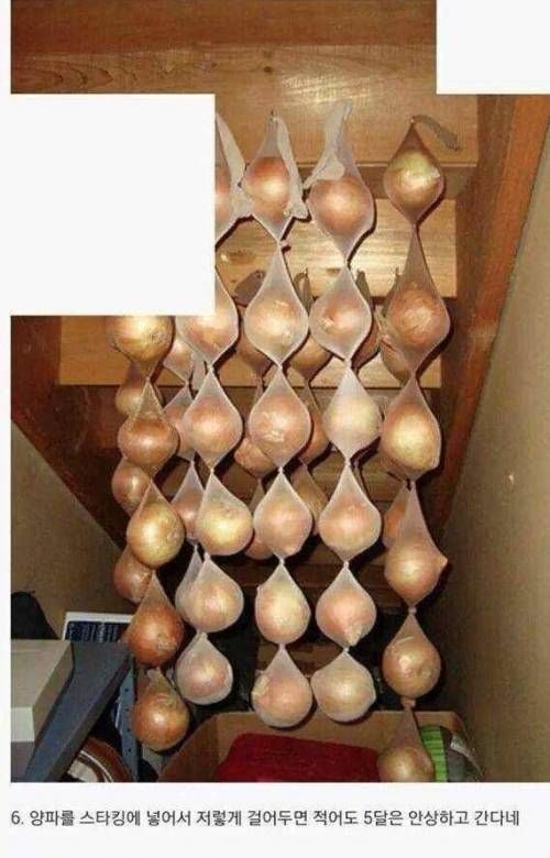 팁과 노하우.jpg