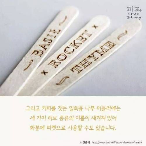 창의적인 개발품 甲