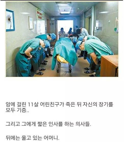 장기를 기증한 아이에 대한 예우