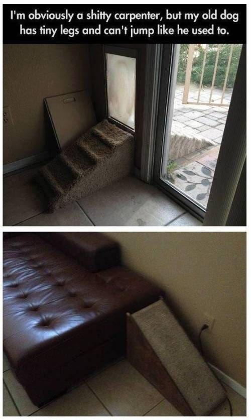 늙고 작은개를 위한 배려.jpg