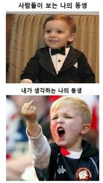 형제 자매 공감