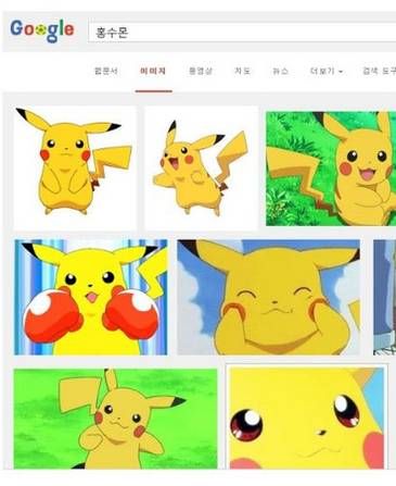 루리웹의 홍수몬.jpg