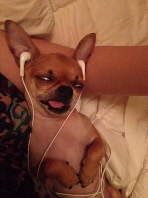 음악만이 날 취하게 하지