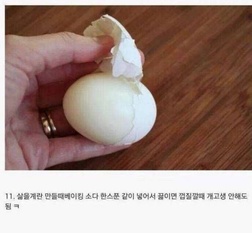 팁과 노하우.jpg