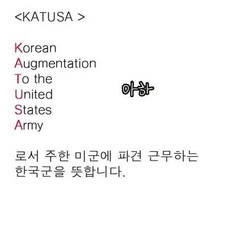 본격 미필자들 영어공부하고 싶게 만드는 짤