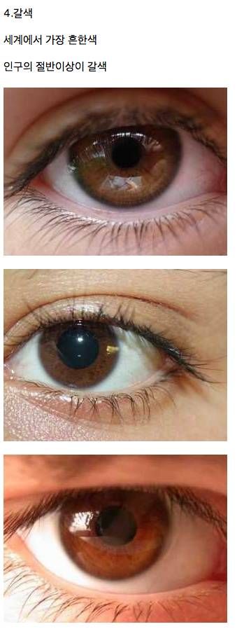 눈 색깔.jpg