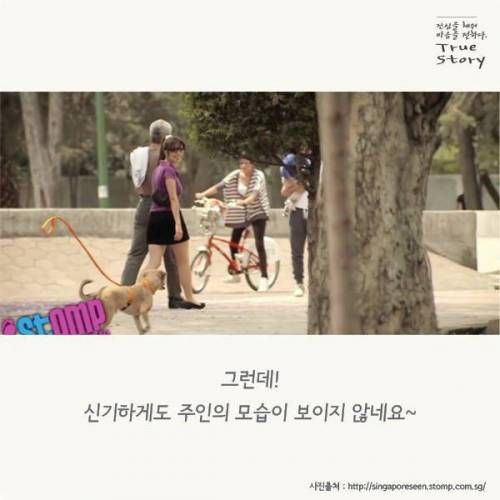 투명인간과 산책하는 개.jpg