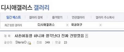 디씨 애갤러의 덕부심