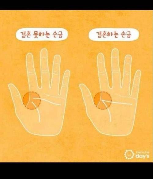 결혼 못하는 손금 vs 결혼 하는 손금