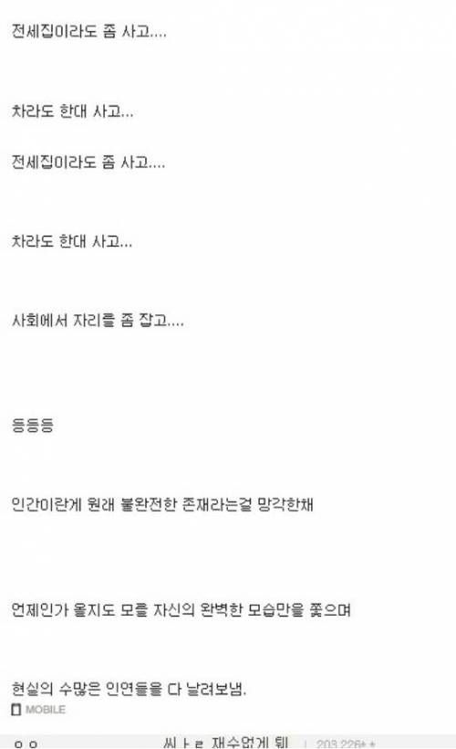 모쏠에 대한 야갤러의 일침.jpg