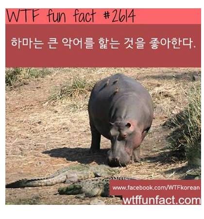 아는 사람들만 아는 나름 신기한 사실들