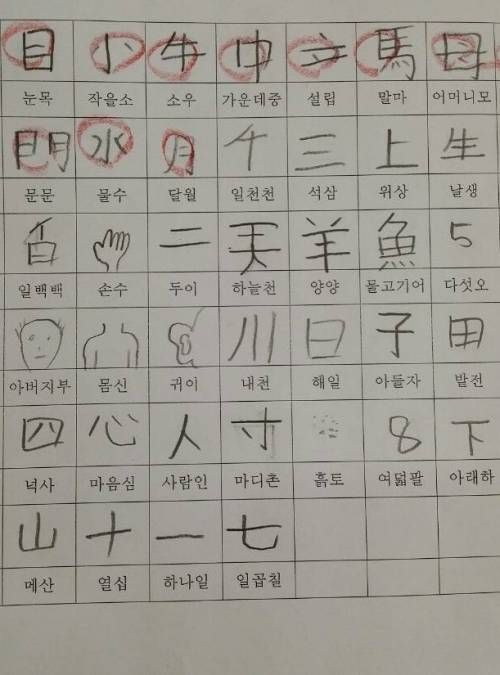 초딩 한자 테스트.jpg