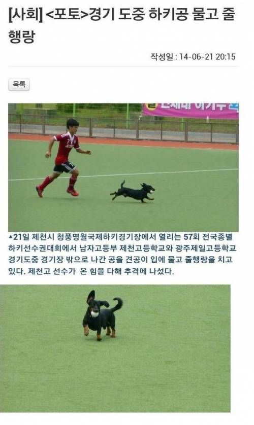 천진난만한 먹튀