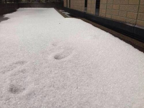 일본은 지금.jpg