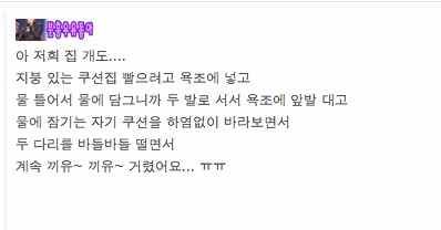 고양이가 좋아하는 담요를 빨았더니