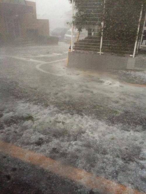 일본은 지금.jpg