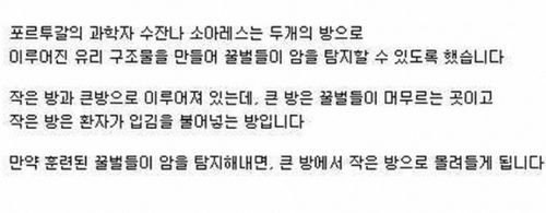 꿀벌을 이용한 암검사 방법.jpg