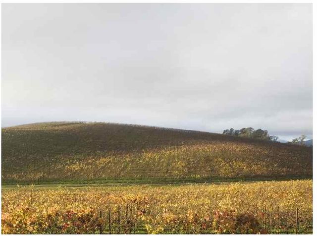 사람들이 가장 많이 본 사진.jpg