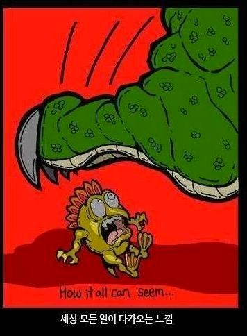 무시무시한 차이점들.jpg