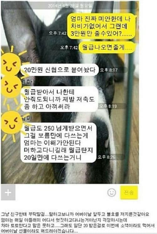불효자.kkt