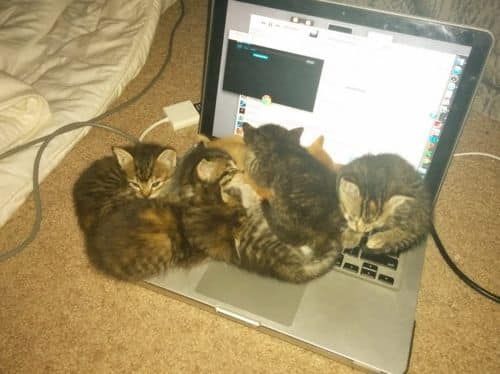 컴퓨터 하게 좀 비켜!