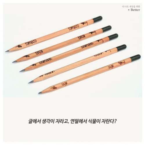허브가 자라는 연필